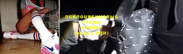 a pvp Алзамай