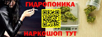 круглые Владимир