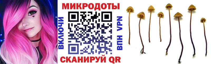 Псилоцибиновые грибы Psilocybine cubensis Белово