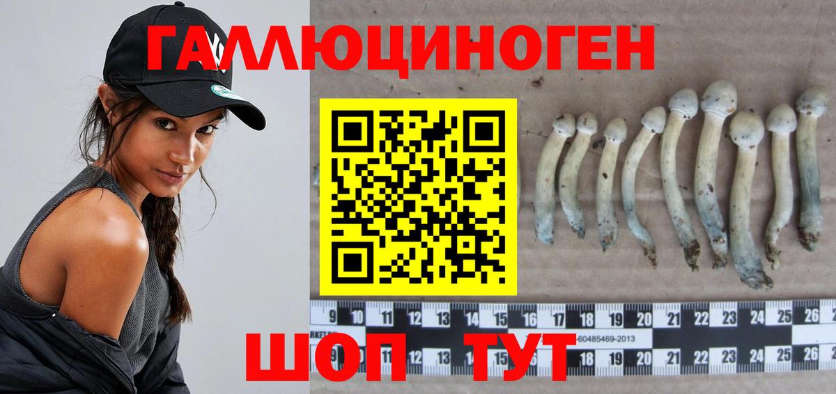 Псилоцибиновые грибы Psilocybe Белово