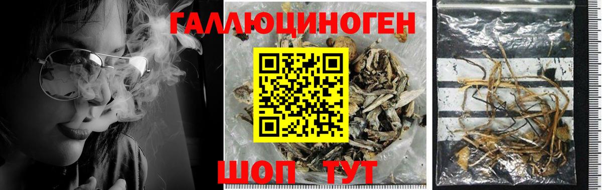 купить наркотик  Галлюциногенные грибы Cubensis  Псилоцибиновые грибы Psilocybine cubensis  Вход с VPN  Белово 