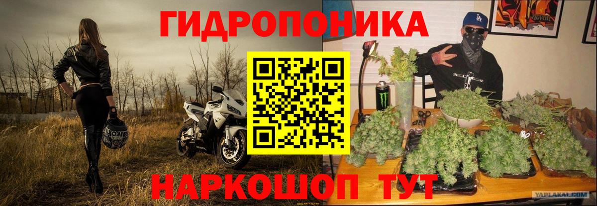 МАРИХУАНА семена Белово